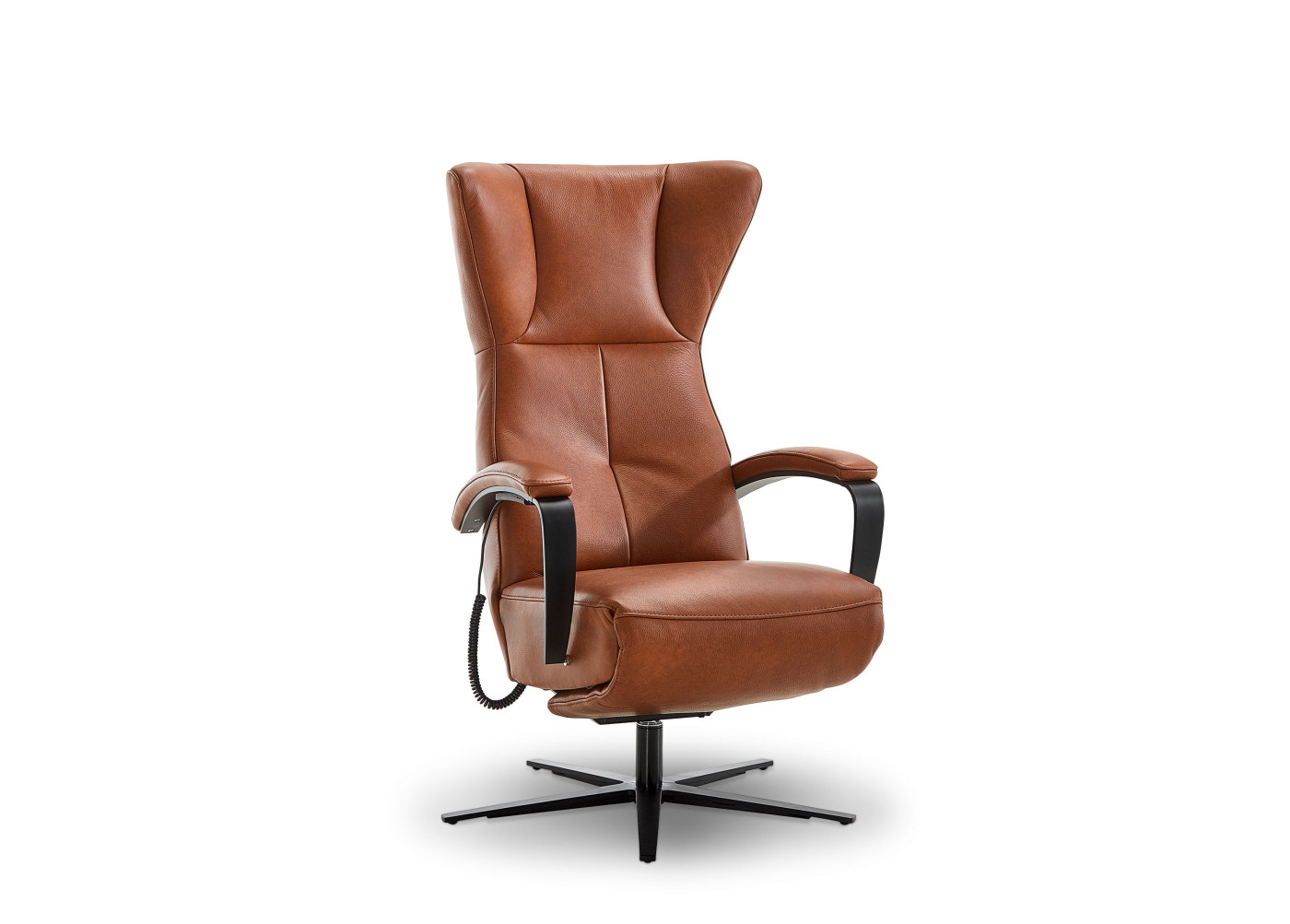 TV-Sessel  CASIO VISION in cognac